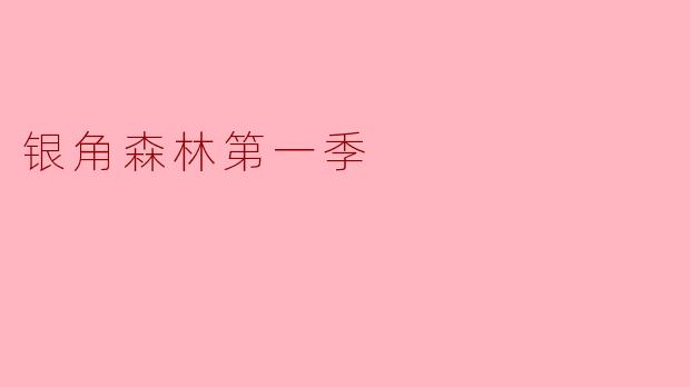 银角森林第一季