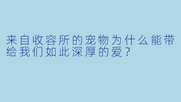 来自收容所的宠物为什么能带给我们如此深厚的爱？
