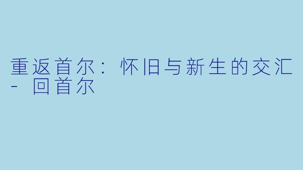 重返首尔：怀旧与新生的交汇-回首尔