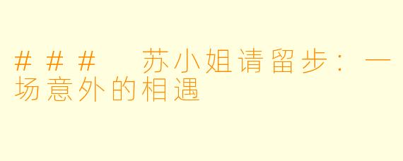 ### 苏小姐请留步:一场意外的相遇