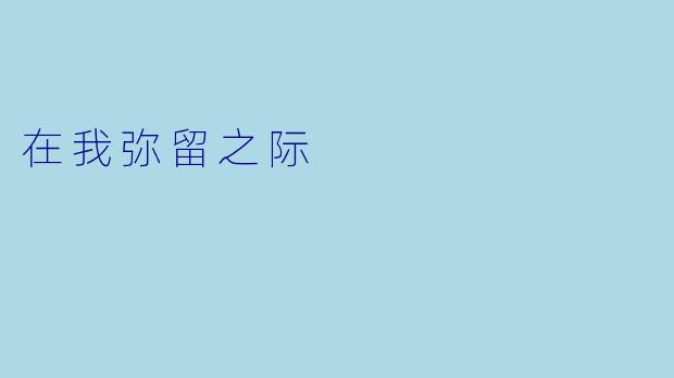 在我弥留之际