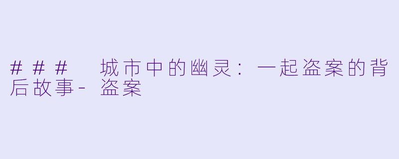 ### 城市中的幽灵：一起盗案的背后故事-盗案