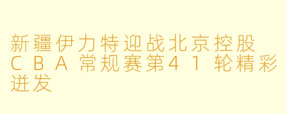 新疆伊力特迎战北京控股 CBA常规赛第41轮精彩迸发