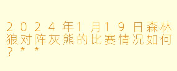2024年1月19日森林狼对阵灰熊的比赛情况如何?**