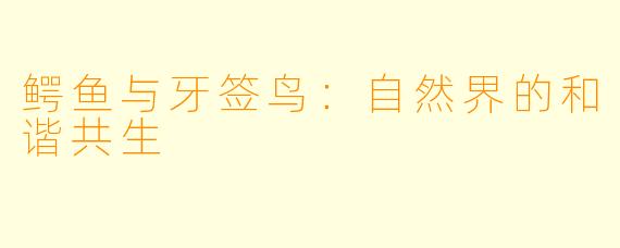 鳄鱼与牙签鸟：自然界的和谐共生