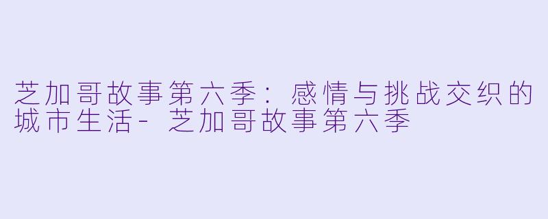 芝加哥故事第六季：感情与挑战交织的城市生活-芝加哥故事第六季