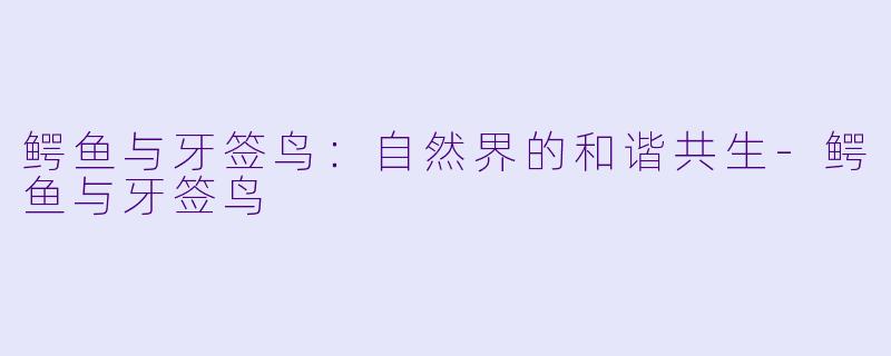 鳄鱼与牙签鸟：自然界的和谐共生-鳄鱼与牙签鸟