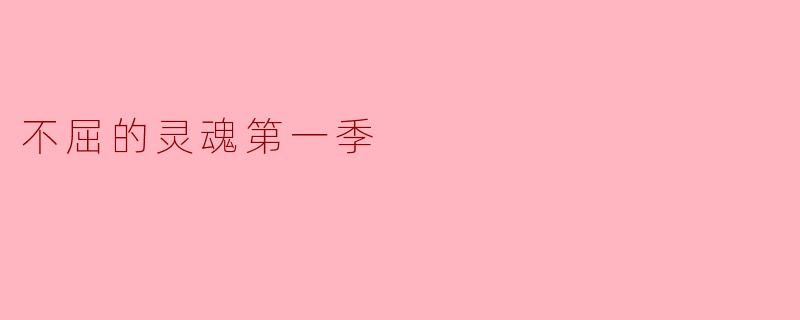 不屈的灵魂第一季