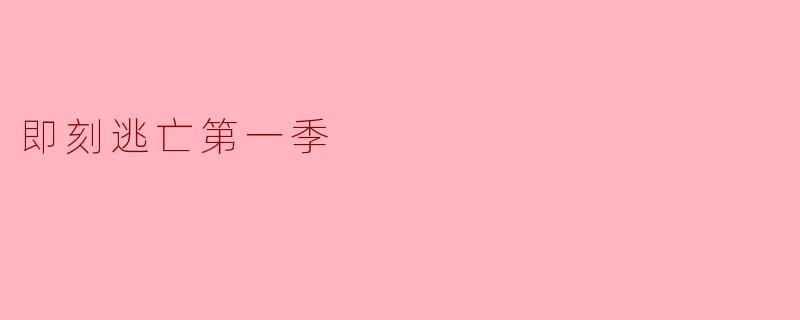 即刻逃亡第一季