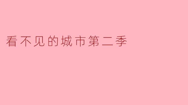 看不见的城市第二季