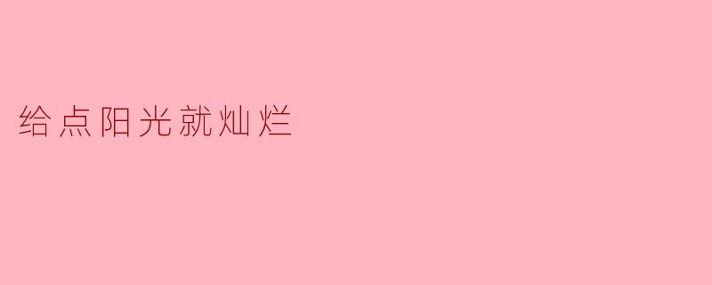给点阳光就灿烂