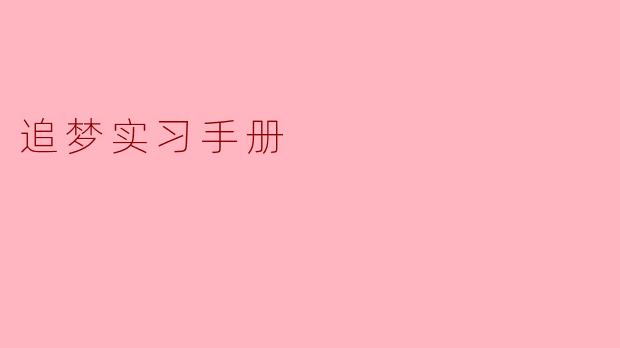 追梦实习手册