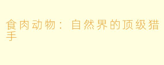 食肉动物：自然界的顶级猎手