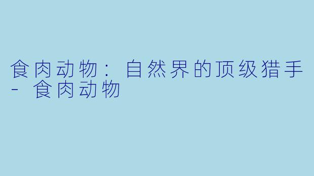 食肉动物：自然界的顶级猎手-食肉动物
