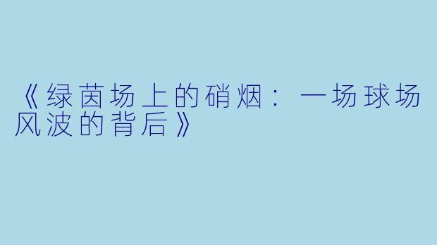 《绿茵场上的硝烟：一场球场风波的背后》