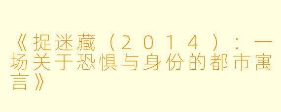 《捉迷藏(2014):一场关于恐惧与身份的都市寓言》