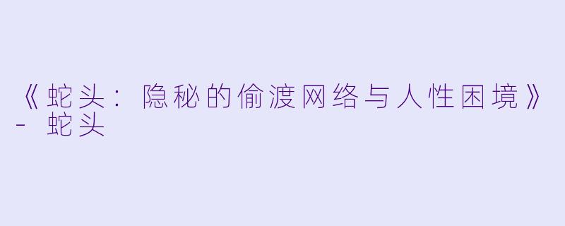《蛇头：隐秘的偷渡网络与人性困境》-蛇头