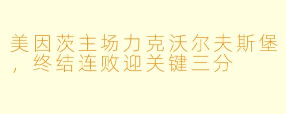 美因茨主场力克沃尔夫斯堡，终结连败迎关键三分