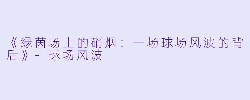 《绿茵场上的硝烟：一场球场风波的背后》-球场风波