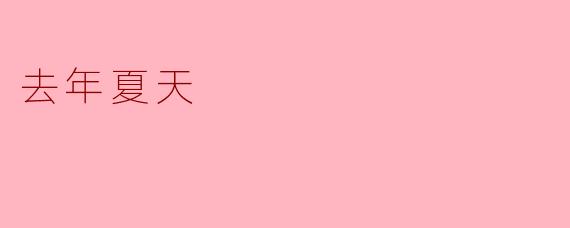 《去年夏天》