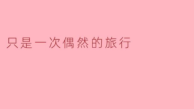 《只是一次偶然的旅行》