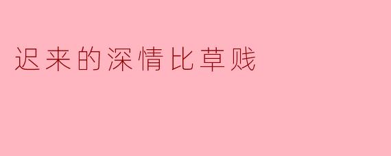 迟来的深情比草贱:论感情中的时机与价值